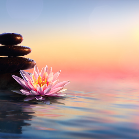 Find Calm Through Meditation