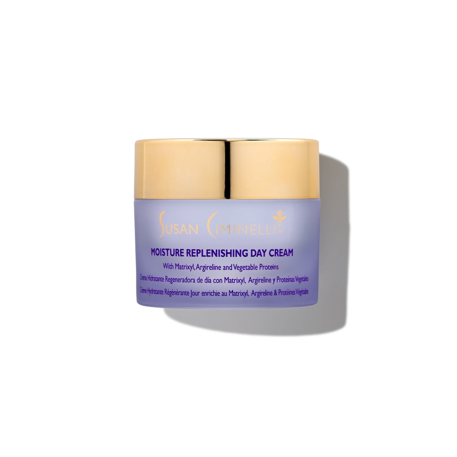 Moisture Replenishing Day Cream – Susan Ciminelli / Skincare